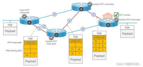 網絡遙感技術 從主動與被動探測到NetFlow與INT的演進
