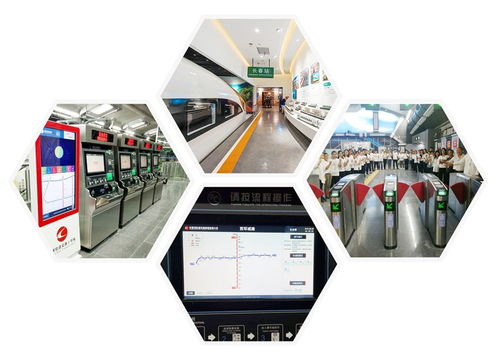 光華綻放 一位清華博士返鄉創業，以網絡技術賦能萬物互聯